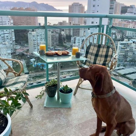 Traveler'S Beach Apartment With Sea View, Free Coffee & Parking ベニドルム エクステリア 写真