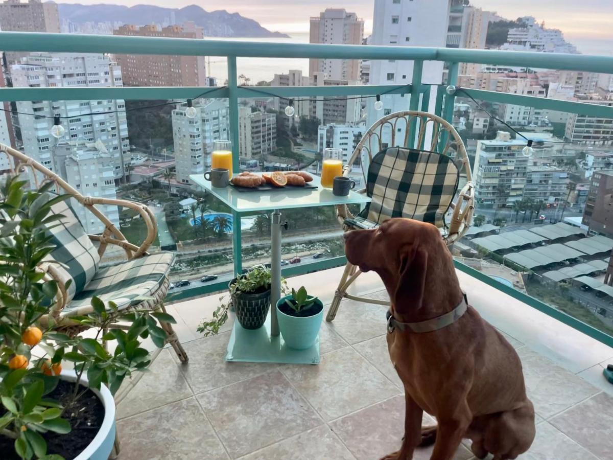 Traveler'S Beach Apartment With Sea View, Free Coffee & Parking ベニドルム エクステリア 写真